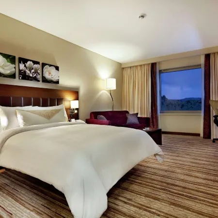 Hilton Garden Inn Mardin