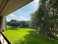 Innisbrook Resort Отели в г. Палм-Харбор
