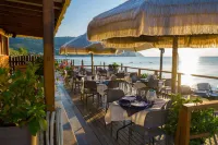 Ferienwohnung Ulivo Mit Pool Und Privatstrand