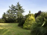 Novotel Pau Pyrénées Hotels in Lescar