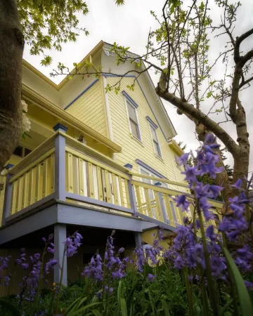 Just 3 Blocks from Downtown! Charming Studio Apartment! Отели рядом с достопримечательностью «Port Townsend Marine Science Center»