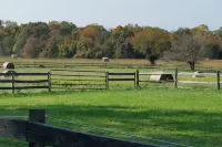 Scenic Haven - Wi-Fi, Gorgeous Farm Views, Tranquil Setting Hotels in Darnestown