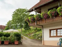 Gemütliche Ferienwohnung im Schwarzwald