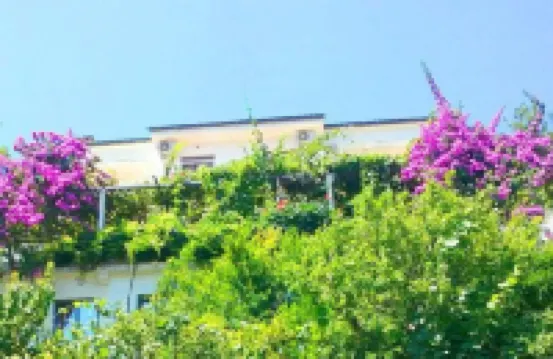Madra Rooms and Apartments