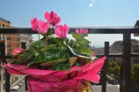 Art B&B Hotels in Caltanissetta