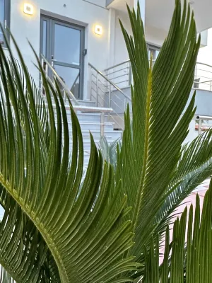 Sun Day Apartments Free Airport Transfer Избранное Photos