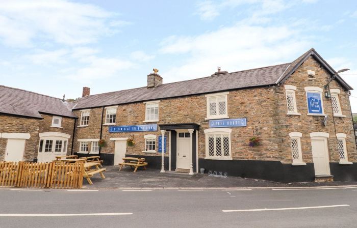 The Blue Lion