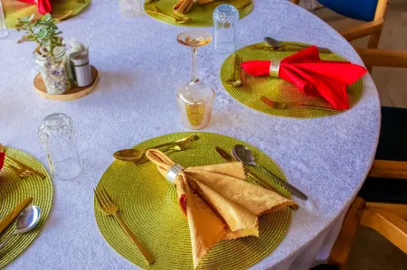 Amanya 1-Bed Leopard Tent