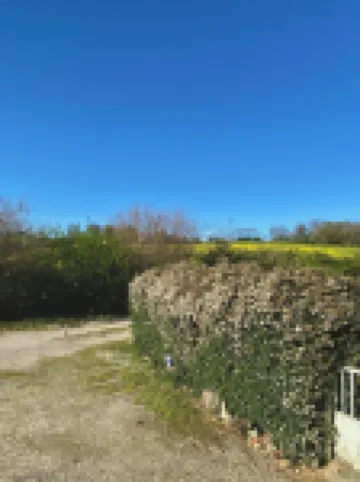 샹브르 도트 뒤 팔레