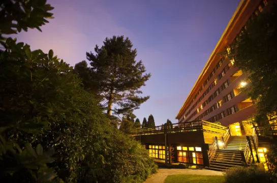 Disney Sequoia Lodge Espaces publics Photos