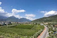 Il Piccolo Nido - Happy Rentals