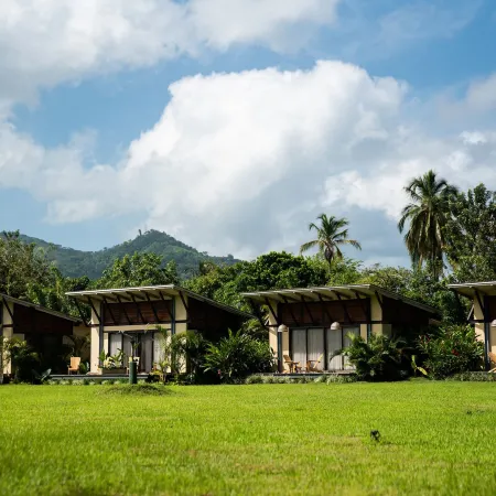 Gardenia Springs