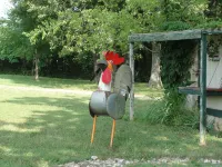 Stone Meadow Resort - Pet friendly