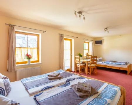 ペンション フェーリエンホフ フィッシャー フライブルクのホテル