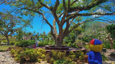 庭 パシフィック アイランド クラブ グアムの写真