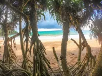 Leather Back Beach Villa Hotels in Kosgoda