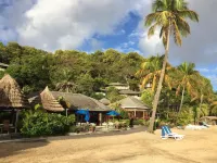 Young Island Resort - spa