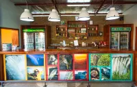 Jollyboys Backpackers and Camp - bar