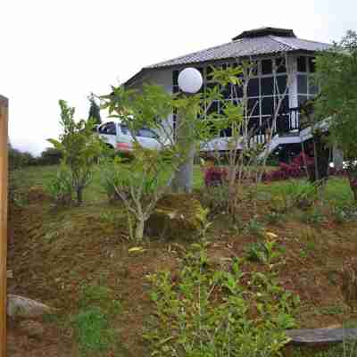 Mesilau Mountain Retreats Rooms