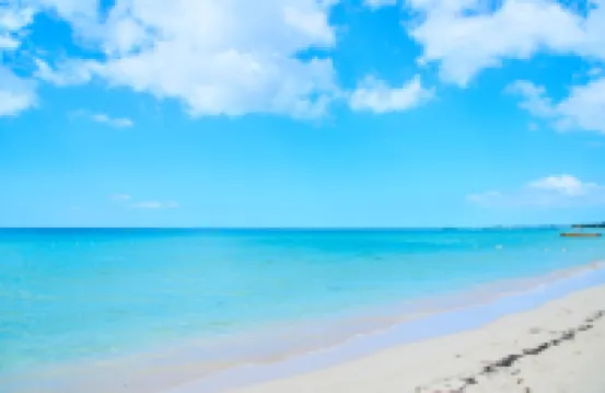 Yellow Bird Sea