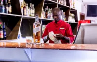 Gelian Hotel - bar
