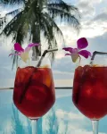 Beyond the Blue Horizon Boutique Bungalows - bar