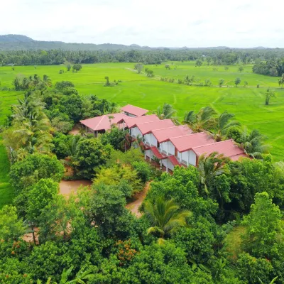 Rivonway Hotel Polonnaruwa Hotels near Minneriya National Park