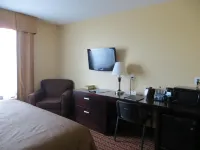 Poplar Tree Inn Hotels in Stoughton