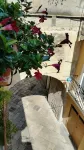 Camere Primavera B&B