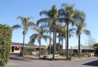 Town & Country Motor Inn - Wifi