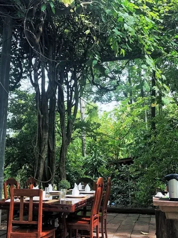 รูปภาพของโอสเตย์