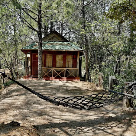 Park Woods Shoghi