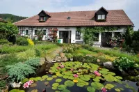 Pension a Restaurace Regina Hotels in Černá v Pošumaví