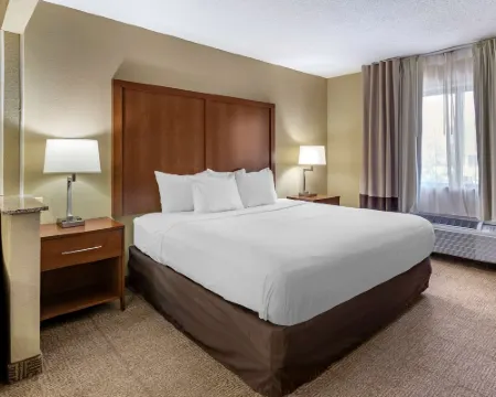 Comfort Inn Moline - Quad Cities Hotels in Moline