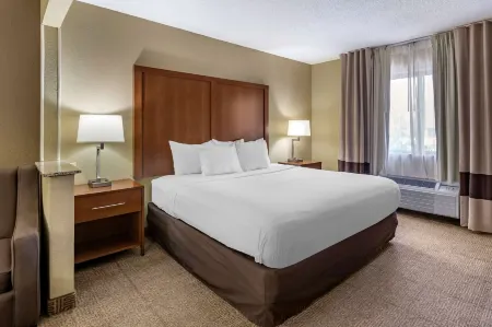Comfort Inn Moline - Quad Cities Отели в г. Карбон Клифф