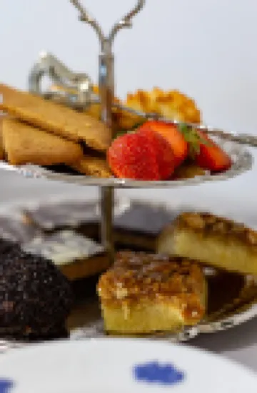 Duvan Hotell & Konferens Hotels in 