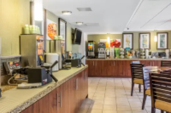 クオリティ イン フラミンゴ