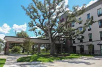 Comfort Suites - South Austin Các khách sạn ở Austin
