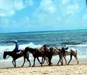 Pousada Terra Nova - Ocean View