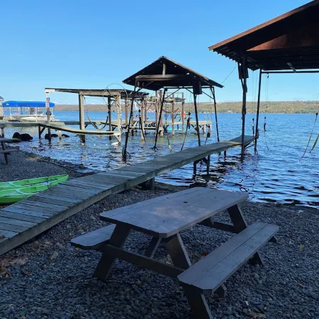 Spotted Sandpiper - Cabin #3