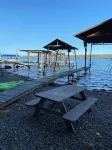 Spotted Sandpiper - Cabin #3