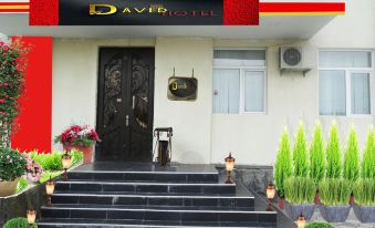 Hotel David