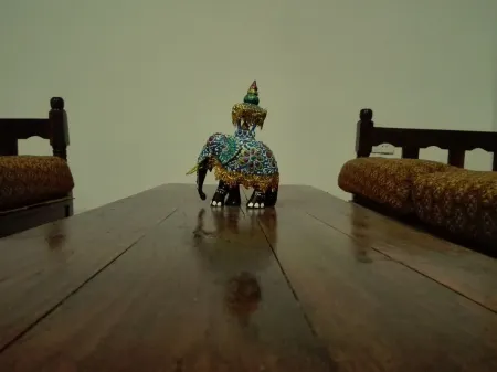 Mango Shade Отели в г. Udawalawa