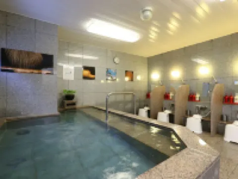 Hotel Hokke Club Niigata Nagaoka Hotels in Nagaoka