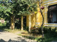 Tammy Hostel