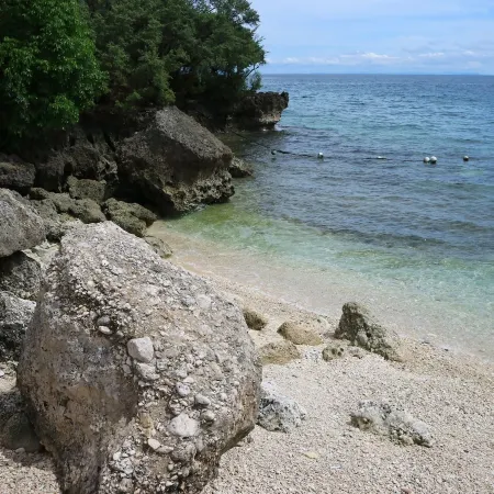 Seascape Beach Resort Oslob