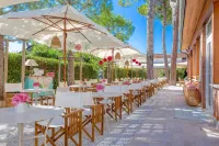 Hotel la Pineta Al Mare Hotels in Cinquale