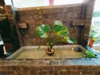 Salak Boutique Hotel - balcony