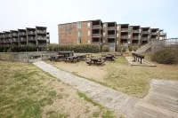 Duck, NC - Oceanfront and Unlimited Sunrises!  Welcome to Sandy Quacks!