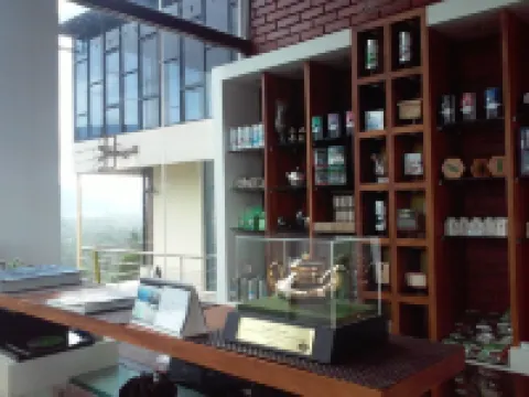 Nest Residence - Hostel